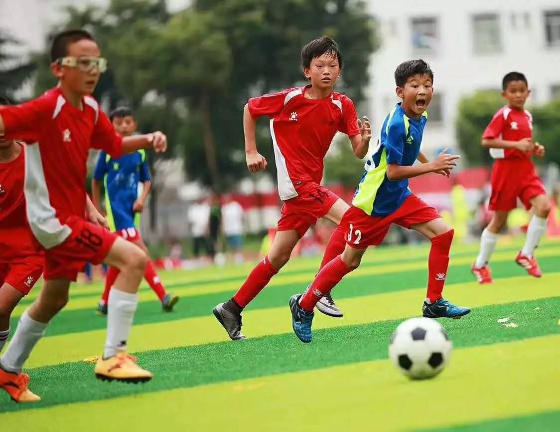 在国内的主要发行的单位是中国体育彩票中心