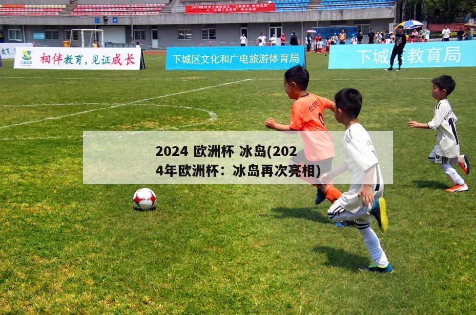 2024 欧洲杯 冰岛(2024年欧洲杯：冰岛再次亮相)