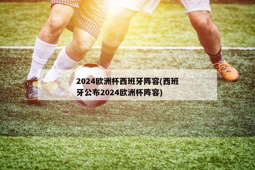 2024欧洲杯西班牙阵容(西班牙公布2024欧洲杯阵容)