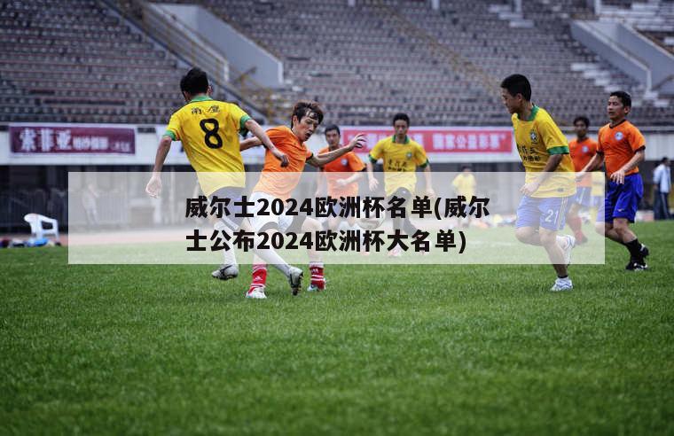 威尔士2024欧洲杯名单(威尔士公布2024欧洲杯大名单)